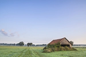 Schneeren landscape, Steinhuder Meer Nature Park, Neustadt am Ruebenberge, Lower Saxony Schneeren landscape, Steinhuder Meer Nature Park, Neustadt am Ruebenberge, Lower Saxony