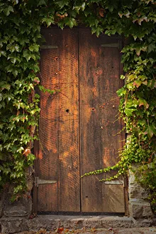 <b class=qtipBold><figcaption>Secret door</figcaption></b><br>A secret timber door framed with Boston ivy and old bluestone.<br><em>© Copyright Sharon Lapkin</em> Secret door