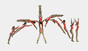 Sequence of illustrations showing female gymnast competing on vault Sequence of illustrations showing female gymnast competing on vault