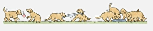 Sequence of illustrations showing Labrador puppies playing outside Sequence of illustrations showing Labrador puppies playing outside
