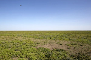 <b class=qtipBold><figcaption>Serengeti, Tanzania, Africa</figcaption></b><br><em>© This content is subject to copyright.</em> Serengeti, Tanzania, Africa