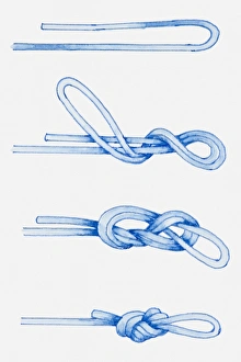 Series of illustration of how to tie blood bright knot Series of illustration of how to tie blood bright knot