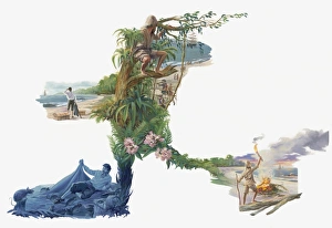 Series of illustrations of castaway Alexander Selkirk in isolated jungle home, rats attacking him at night Series of illustrations of castaway Alexander Selkirk in isolated jungle home, rats attacking him at night