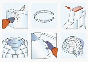 Series of illustrations showing how to construct an igloo Series of illustrations showing how to construct an igloo