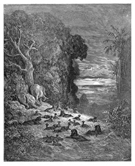 The seven evening on earth engraving 1885 The seven evening on earth engraving 1885