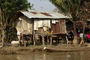 Shack, corrugated iron hut at the Sangker River, near Battambang, Battambang Province, Cambodia Shack, corrugated iron hut at the Sangker River, near Battambang, Battambang Province, Cambodia