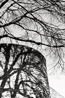 Shadow of a tree on an adjacent stone wall Shadow of a tree on an adjacent stone wall