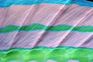 Sheephead parrotfish (Scarus gibbus) dorsal fin, detail Sheephead parrotfish (Scarus gibbus) dorsal fin, detail
