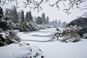 Travel Imagery Gallery: Sheffield Park Gardens in the snow