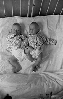 Siamese Twins Art Prints, Posters & Photo Prints