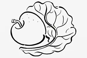 Simple black and white line drawing of apple and lettuce leaf Simple black and white line drawing of apple and lettuce leaf