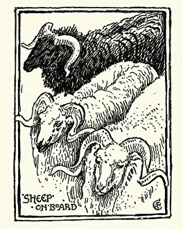 Sketch of Sheep, Greece, 19th Century, Walter Crane Sketch of Sheep, Greece, 19th Century, Walter Crane