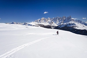 Ski tourer descending Mt Cima Bocche, above Passo Valles, Pala group in the back, Dolomites, Trentino, Italy, Europe Ski tourer descending Mt Cima Bocche, above Passo Valles, Pala group in the back, Dolomites, Trentino, Italy, Europe