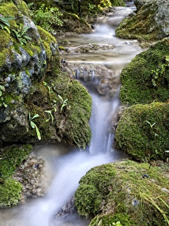 Small mountain torrende between waterfalls Small mountain torrende between waterfalls