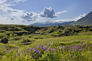 Snaefellsjoekull volcano, Buoir or Faskruosfjoerour, Snaefellsnes, Snaefellsness, Iceland Snaefellsjoekull volcano, Buoir or Faskruosfjoerour, Snaefellsnes, Snaefellsness, Iceland