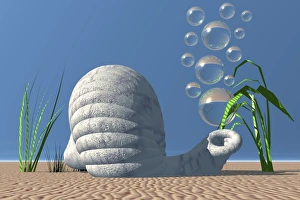 Snail shell and bubbles, 3D computer graphics Snail shell and bubbles, 3D computer graphics