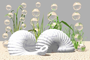 Snail shells on the bottom of the sea, 3D computer graphics Snail shells on the bottom of the sea, 3D computer graphics