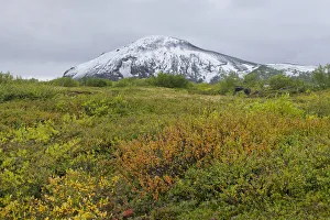 Snow-covered Vindbelgjarfjall mountain, Skutustaoir, Northeastern Region, Iceland Snow-covered Vindbelgjarfjall mountain, Skutustaoir, Northeastern Region, Iceland