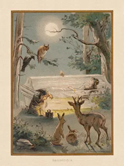 Snow White (Schneewittchen), by Brothers Grimm, chromolithograph, published 1898 Snow White (Schneewittchen), by Brothers Grimm, chromolithograph, published 1898