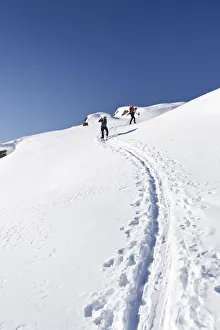 Snowshoers during the ascent to Uribrutto Mountain above the Passo Valles, Dolomites Snowshoers during the ascent to Uribrutto Mountain above the Passo Valles, Dolomites