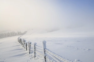 Snowy fence, Mt. Unterberg, Lower Austria, Austria, Europe Snowy fence, Mt. Unterberg, Lower Austria, Austria, Europe
