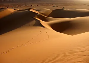 Soft evening light on Sahara sand dunes Soft evening light on Sahara sand dunes