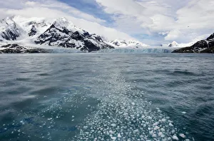 <b class=qtipBold><figcaption>South Georgia glacier</figcaption></b><br>Fragments of ice from a calving glacier float in the Scotia Sea along the southern coastline of South Georgia Island.<br><em>© Ben Cranke</em> South Georgia glacier