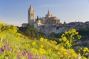 Spain, Segovia, Segovia Cathedral, field in foreground Spain, Segovia, Segovia Cathedral, field in foreground