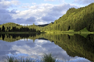 Spechtensee lake, reflections of a forested hill in the water, landscape between Tauplitz and Liezen, Salzkammergut, Styria, Austria, Europe Spechtensee lake, reflections of a forested hill in the water, landscape between Tauplitz and Liezen, Salzkammergut, Styria, Austria, Europe