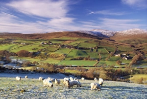 The Sperrins in winter, Co Tyrone, Ireland The Sperrins in winter, Co Tyrone, Ireland
