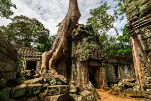 Landscapes (modern interpretation) Collection: Spung tree cover Ta Prohm temple in Siem Reap, Cambodia