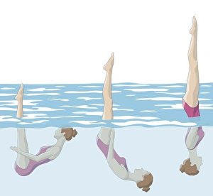 Three stages of swimmer performing barracuda, bringing legs in straight-up position Three stages of swimmer performing barracuda, bringing legs in straight-up position