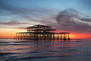 Brighton & Hove Gallery: Starling Murmuration at Brightons West Pier in England