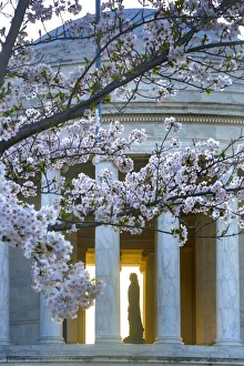 Statue of Thomas Jefferson in Jefferson Memorial with Cherry Blossoms, Washington Statue of Thomas Jefferson in Jefferson Memorial with Cherry Blossoms, Washington