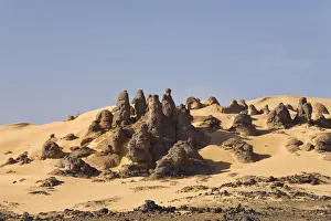 Stone desert, Tassili Maridet, Libyan Desert, Libya, Sahara, North Africa, Africa Stone desert, Tassili Maridet, Libyan Desert, Libya, Sahara, North Africa, Africa