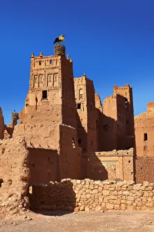Stork nesting on the Glaoui Kasbahs, Ounilla valley, Tamedaght, Morocco Stork nesting on the Glaoui Kasbahs, Ounilla valley, Tamedaght, Morocco