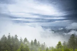 Stormy atmosphere with fog after heavy rain falls on the Schliffkopf mountain Stormy atmosphere with fog after heavy rain falls on the Schliffkopf mountain