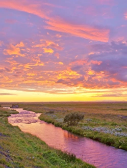 Stream in the afterglow of the sunset, Iceland Stream in the afterglow of the sunset, Iceland