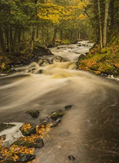 Stream in autumn, Upper Peninsula, Michigan, USA Stream in autumn, Upper Peninsula, Michigan, USA