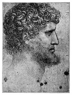 Study sketch of a man by Leonardo Da Vinci