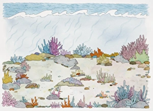 Subterranean cross-section view revealing colourful vegetation growing on seabed Subterranean cross-section view revealing colourful vegetation growing on seabed