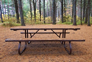 <b class=qtipBold><figcaption>Summer comes to an end in Algonquin</figcaption></b><br>Found this picnic table covered with pine needles early October, everyone was gone, summer was over.<br><em>© Jim Cumming</em> Summer comes to an end in Algonquin