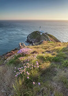 Summer at South Stack Summer at South Stack