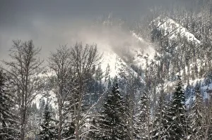 <b class=qtipBold><figcaption>Sun Break on the Mountain</figcaption></b><br>A brief sun break illuminates the mountain before the clouds close and the winter storm resumes.<br><em>© PhotoViewPlus</em> Sun Break on the Mountain