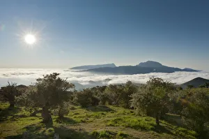 Sun over a landscape with trees, Mount Piton de Neiges at back, Plaine des Cafres Sun over a landscape with trees, Mount Piton de Neiges at back, Plaine des Cafres