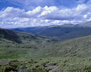 Sunny landscape with Never Summer Mountains, Rocky Mountain National Park, Colorado, USA Sunny landscape with Never Summer Mountains, Rocky Mountain National Park, Colorado, USA