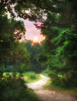 Sunrise at the End of the Path at Elizabeth Morton Wildlife Preserve in Sag Harbor Sunrise at the End of the Path at Elizabeth Morton Wildlife Preserve in Sag Harbor