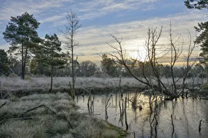 Sunrise in a marsh, Tiste Bauernmoor, Landkreis Rotenburg, Lower Saxony, Germany Sunrise in a marsh, Tiste Bauernmoor, Landkreis Rotenburg, Lower Saxony, Germany