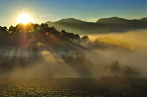 Sunrise over strawberry farm, Doi Ang Khang Sunrise over strawberry farm, Doi Ang Khang