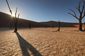 Sunrise with sun flare over the dead Acacia trees of Deadvlei Sunrise with sun flare over the dead Acacia trees of Deadvlei